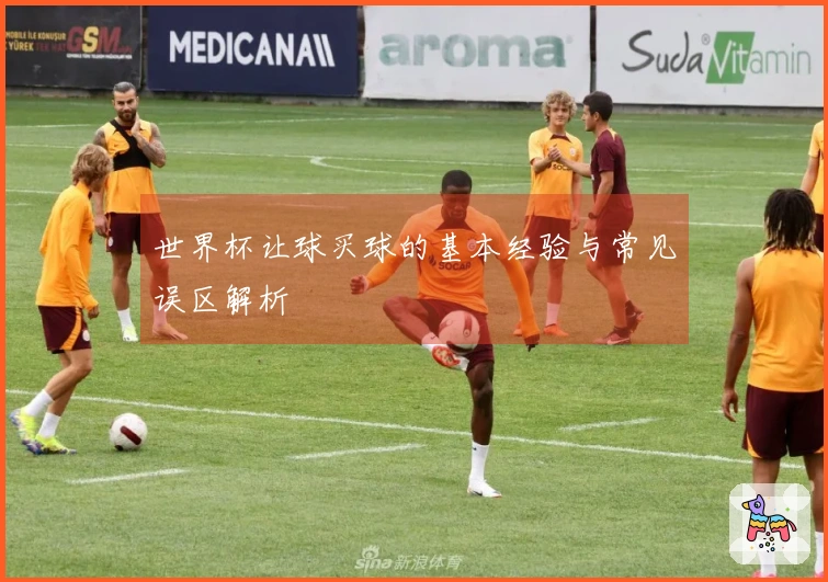世界杯让球买球的基本经验与常见误区解析
