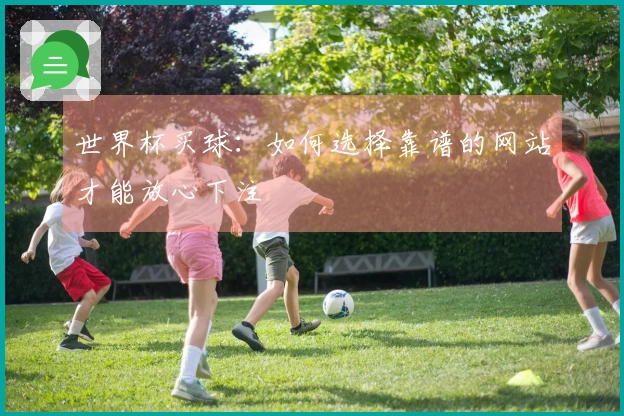 世界杯买球：如何选择靠谱的网站才能放心下注