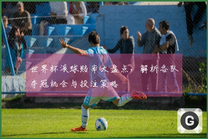 世界杯滚球赔率大盘点，解析各队夺冠机会与投注策略