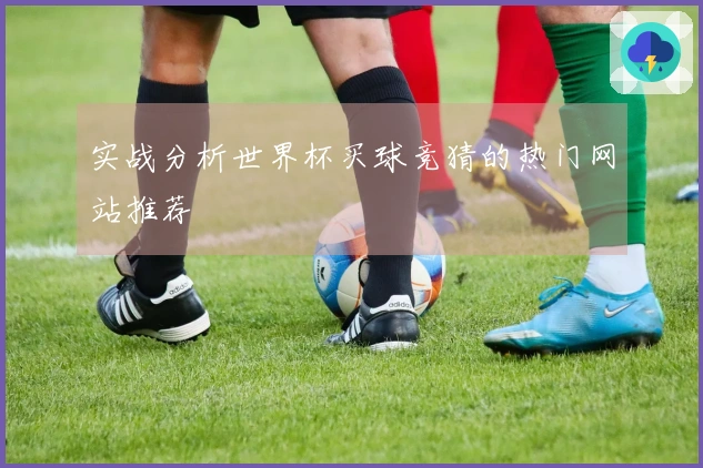实战分析世界杯买球竞猜的热门网站推荐