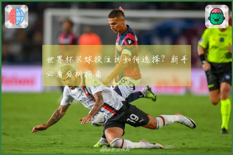 世界杯买球投注该如何选择？新手必看分析指南