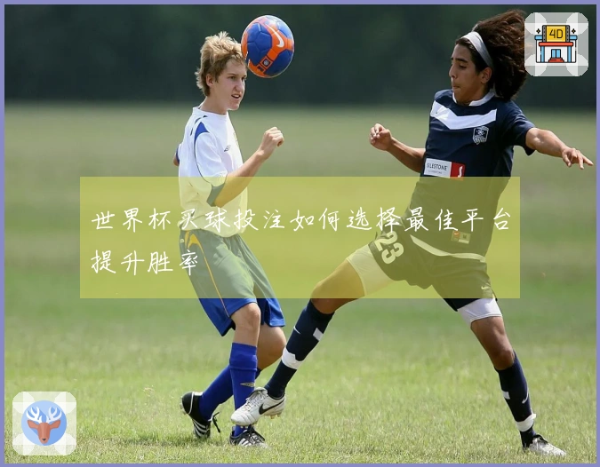 世界杯买球投注如何选择最佳平台提升胜率
