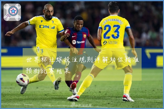 世界杯让球投注规则详解助你精准预测比赛结果