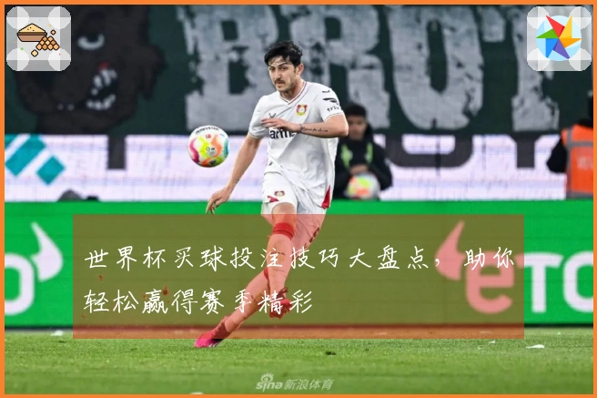 世界杯买球投注技巧大盘点，助你轻松赢得赛季精彩