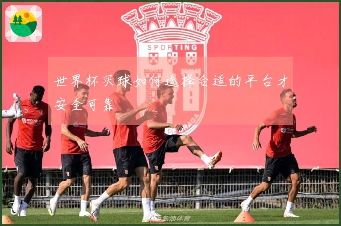 世界杯买球如何选择合适的平台才安全可靠