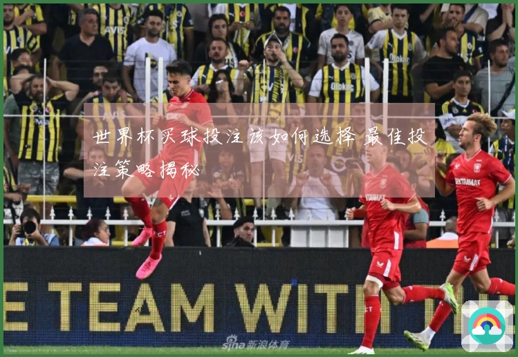 世界杯买球投注该如何选择 最佳投注策略揭秘