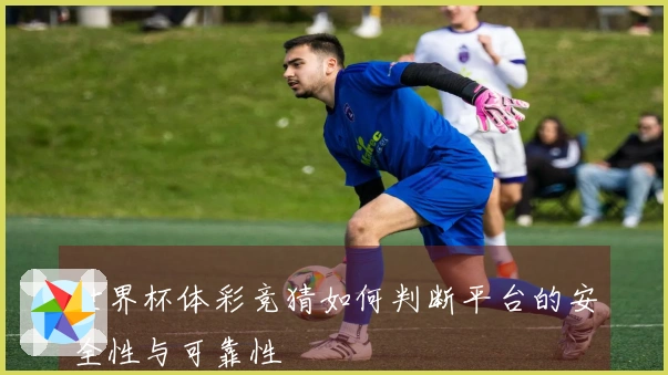 世界杯体彩竞猜如何判断平台的安全性与可靠性