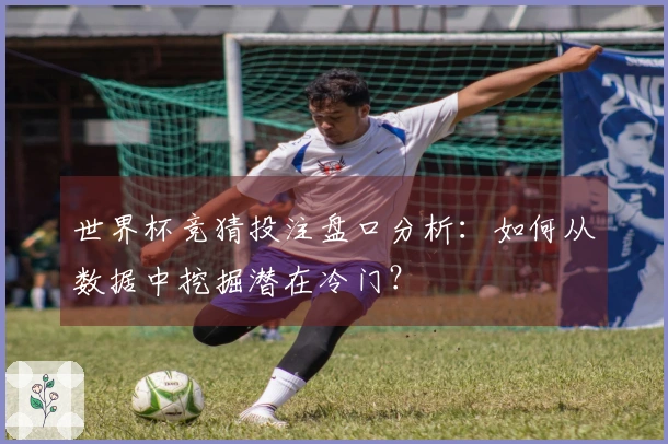 世界杯竞猜投注盘口分析：如何从数据中挖掘潜在冷门？
