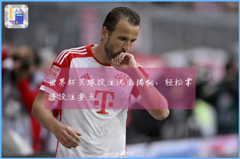 世界杯买球投注玩法揭秘,轻松掌握投注要点