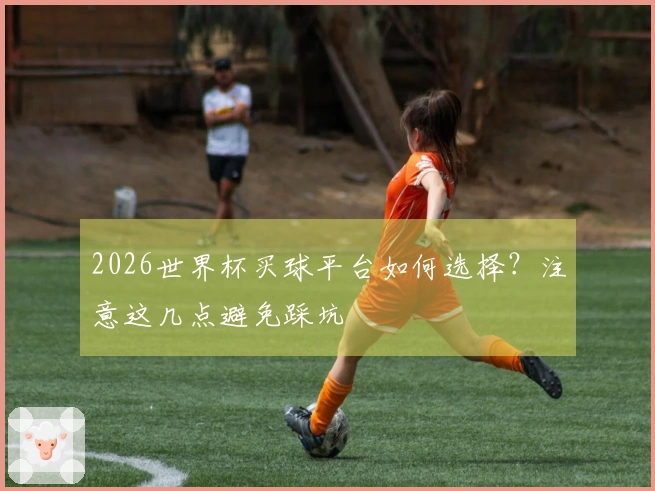 2026世界杯买球平台如何选择？注意这几点避免踩坑