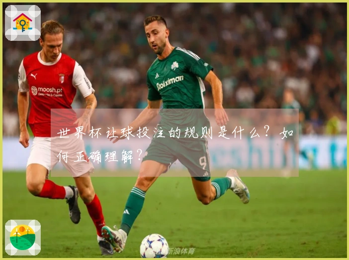 世界杯让球投注的规则是什么？如何正确理解？