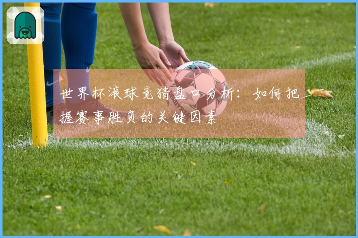 世界杯滚球竞猜盘口分析:如何把握赛事胜负的关键因素