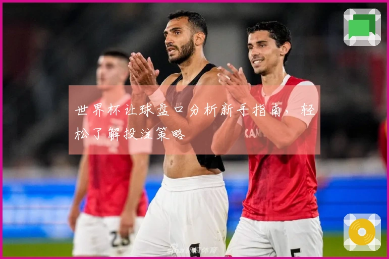 世界杯让球盘口分析新手指南，轻松了解投注策略