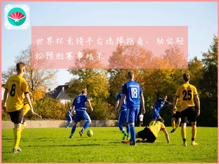 世界杯竞猜平台选择指南，助你轻松预测赛事结果