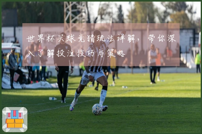 世界杯买球竞猜玩法详解，带你深入了解投注技巧与策略