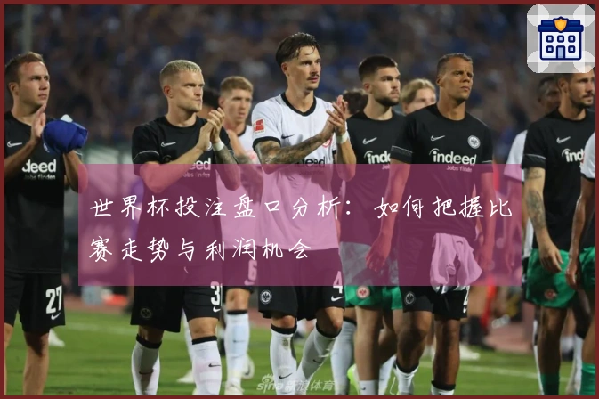 世界杯投注盘口分析：如何把握比赛走势与利润机会