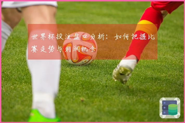 世界杯投注盘口分析:如何把握比赛走势与利润机会