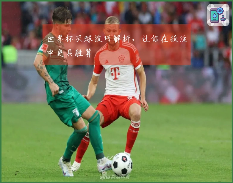 世界杯买球技巧解析，让你在投注中更具胜算