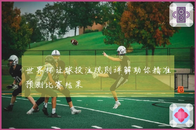 世界杯让球投注规则详解助你精准预测比赛结果