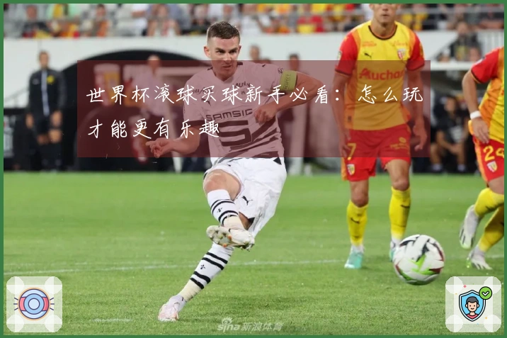 世界杯滚球买球新手必看：怎么玩才能更有乐趣