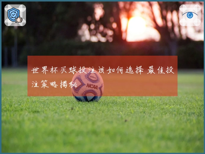 世界杯买球投注该如何选择 最佳投注策略揭秘