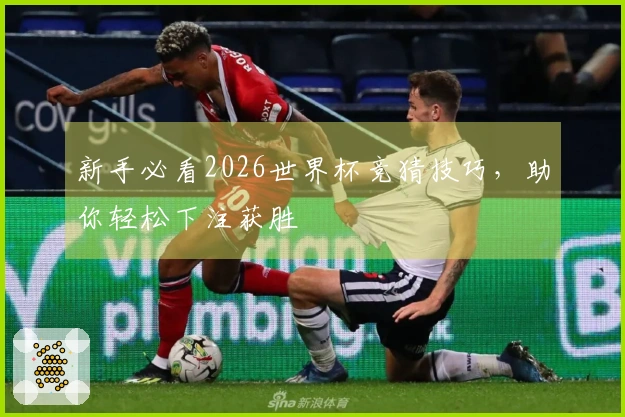 新手必看2026世界杯竞猜技巧，助你轻松下注获胜
