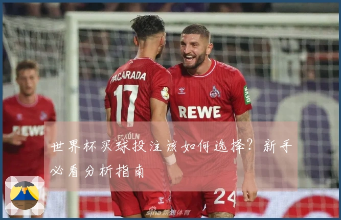世界杯买球投注该如何选择？新手必看分析指南