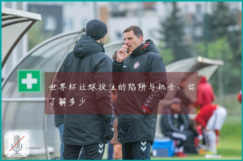 世界杯让球投注的陷阱与机会，你了解多少
