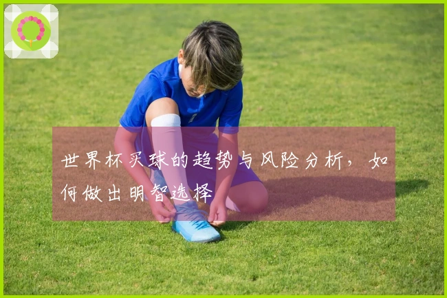 世界杯买球的趋势与风险分析，如何做出明智选择
