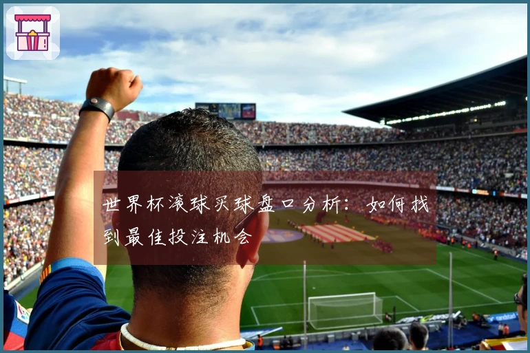 世界杯滚球买球盘口分析：如何找到最佳投注机会