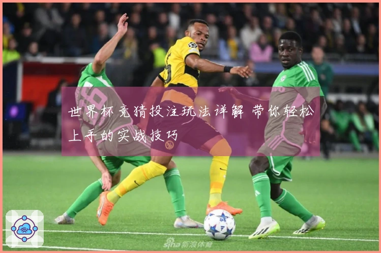 世界杯竞猜投注玩法详解 带你轻松上手的实战技巧